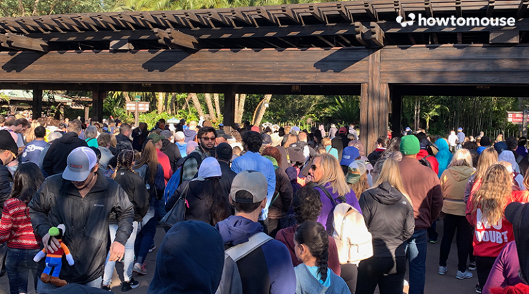 how to mouse the crowds